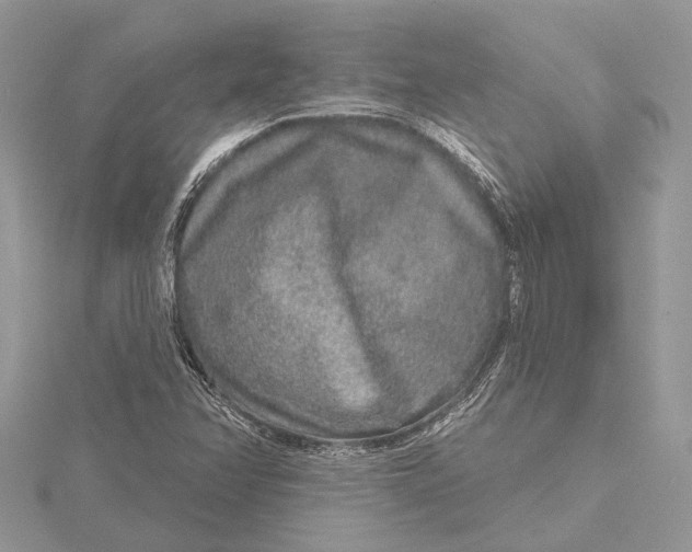 X0000115631358200912011431