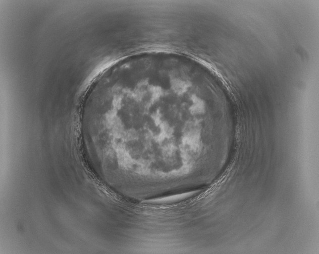 X0000115631359200912011431