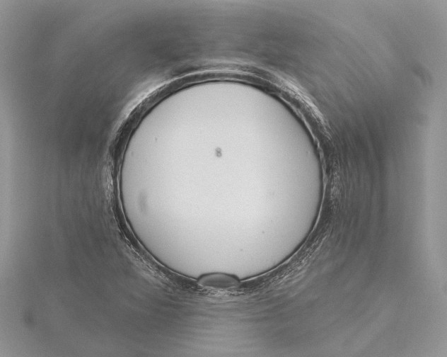 X0000115631360200912011431