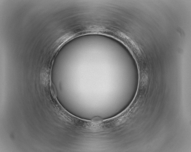 X0000115631361200912011431