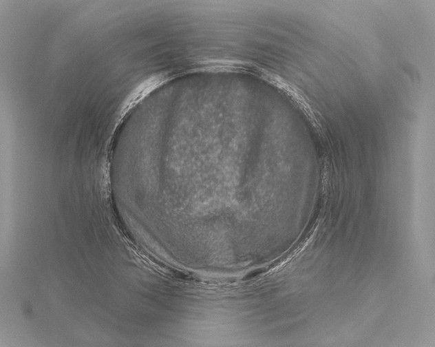 X0000115631362200912011431