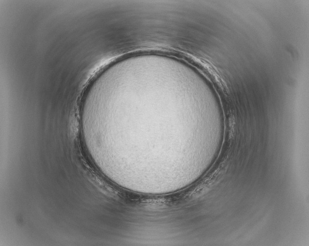 X0000115631363200912011431