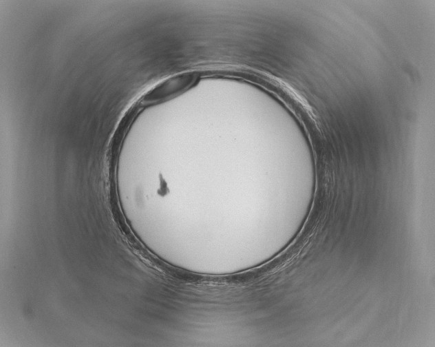 X0000115631364200912011431