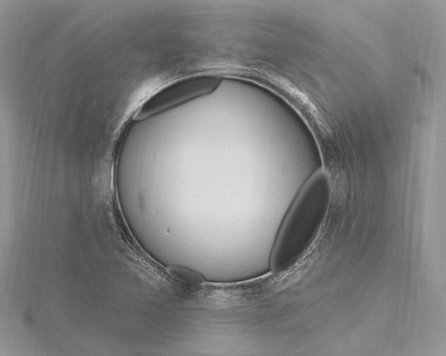 X0000115631365200912011431