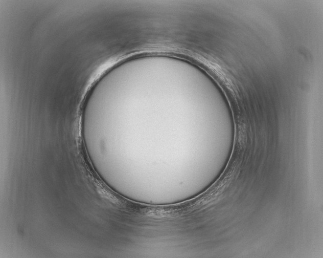 X0000115631366200912011431