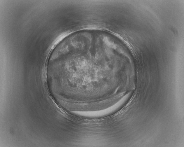 X0000115631367200912011431