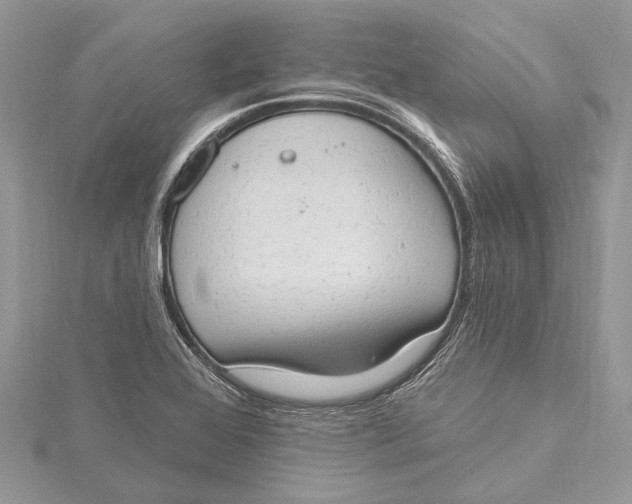 X0000115631368200912011431