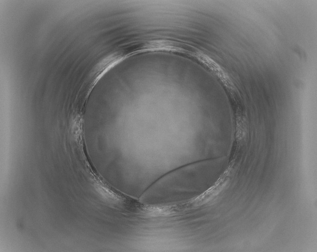 X0000115631369200912011431