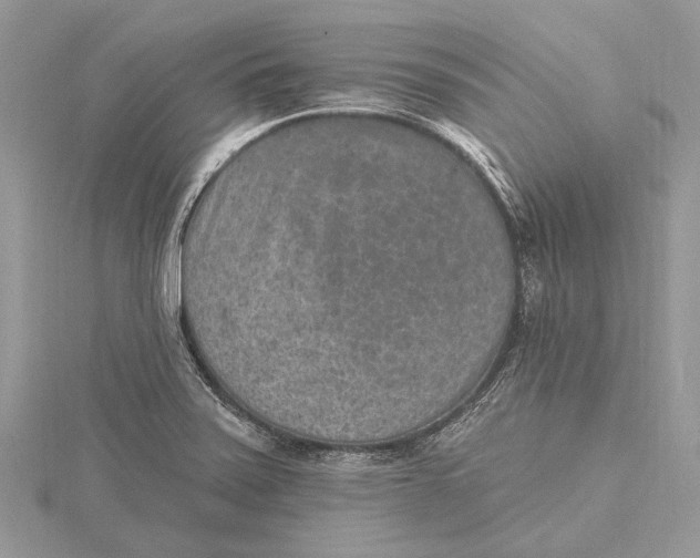 X0000115631371200912011431