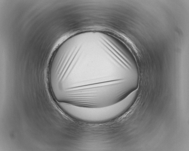 X0000115631373200912011431