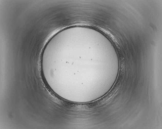 X0000115631375200912011431