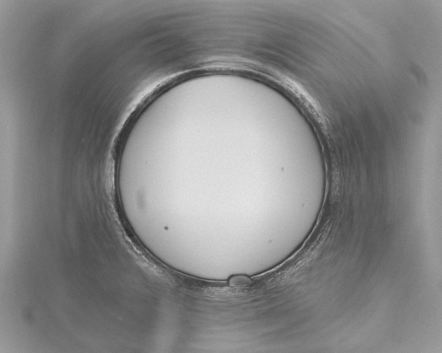 X0000115631376200912011431