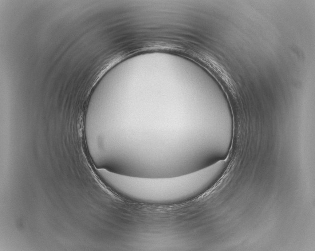 X0000115631377200912011431