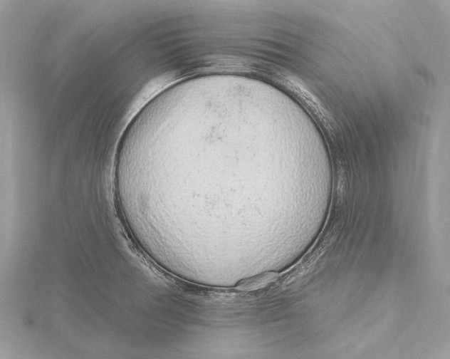 X0000115631378200912011431