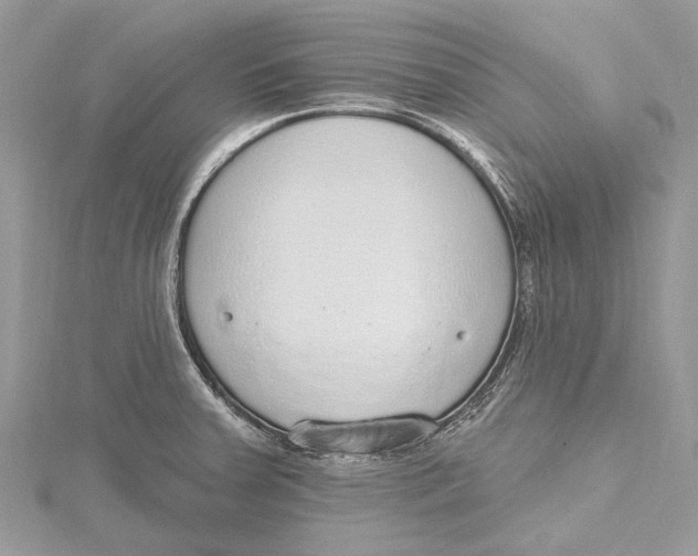 X0000115631379200912011431