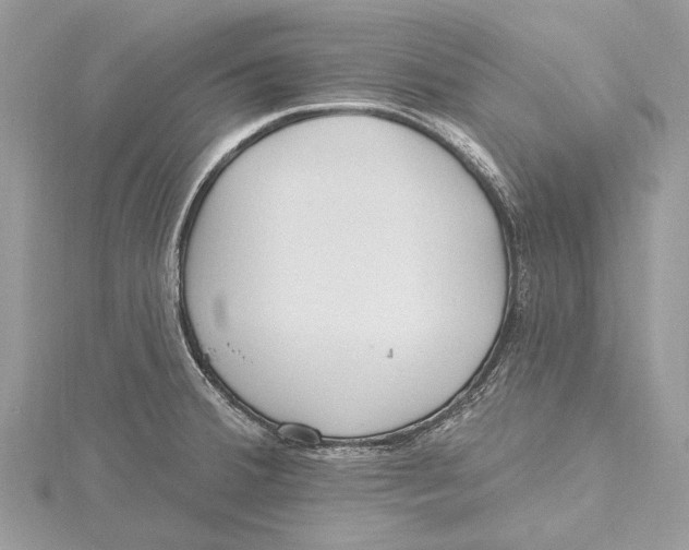 X0000115631380200912011431