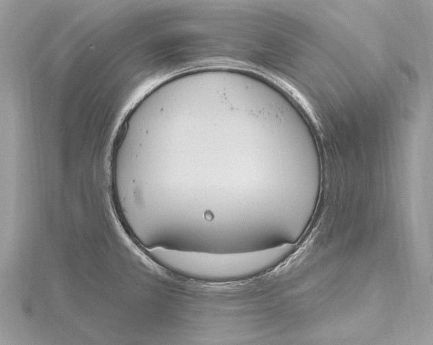 X0000115631381200912011431