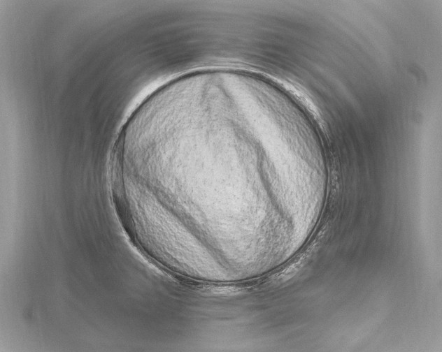 X0000115631382200912011431