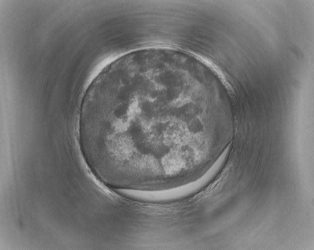 X0000115631383200912011431