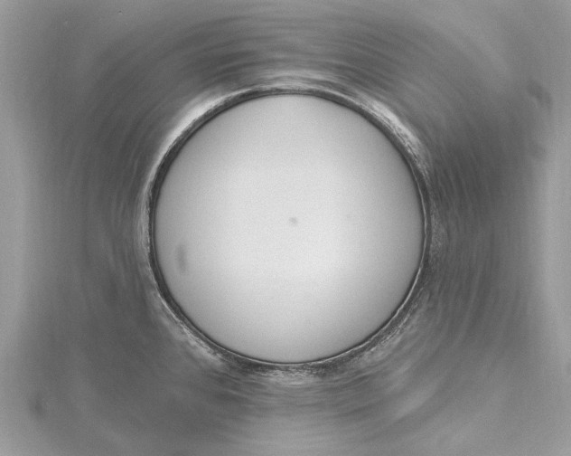 X0000115631384200912011431