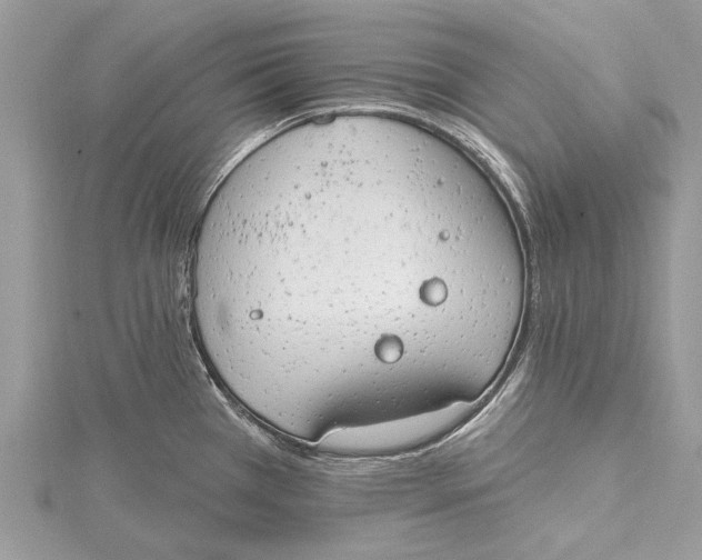 X0000115631385200912011431