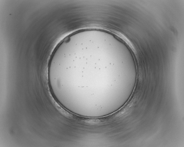 X0000115631388200912011431