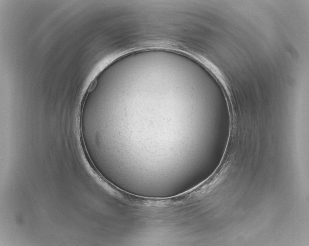 X0000115631389200912011431