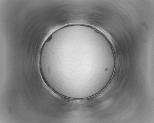 X0000115631390200912011431