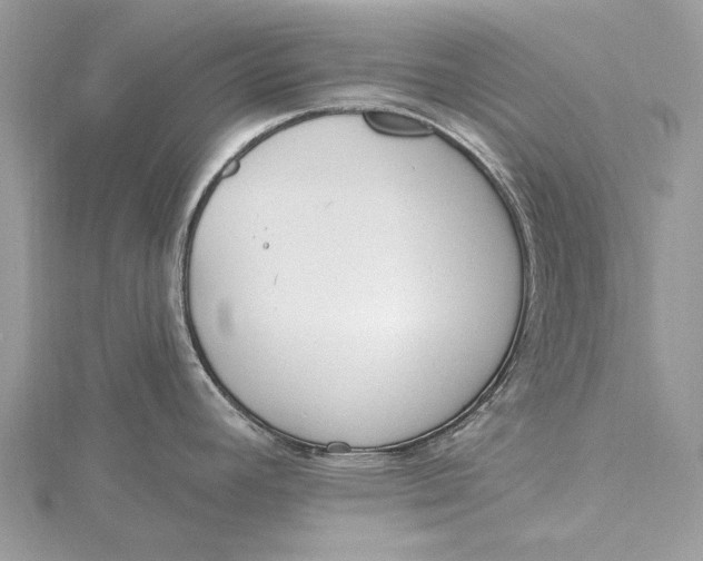 X0000115631392200912011431