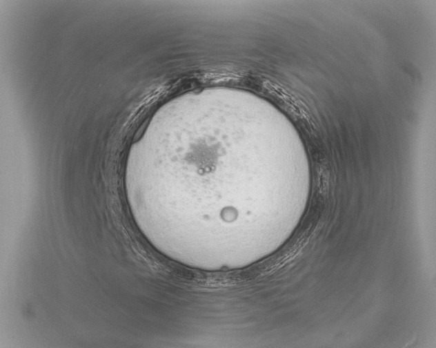 X0000115631393200912011430