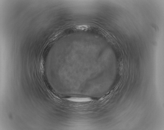 X0000115631394200912011430