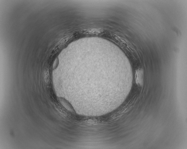 X0000115631395200912011430