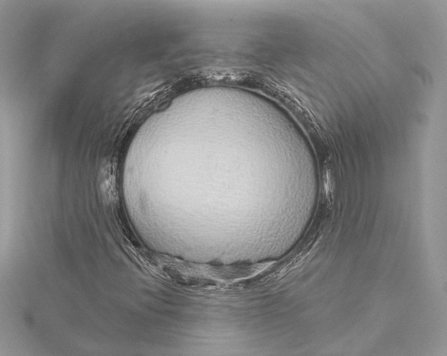 X0000115631396200912011430