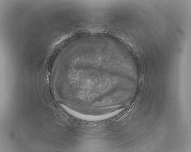 X0000115631398200912011431