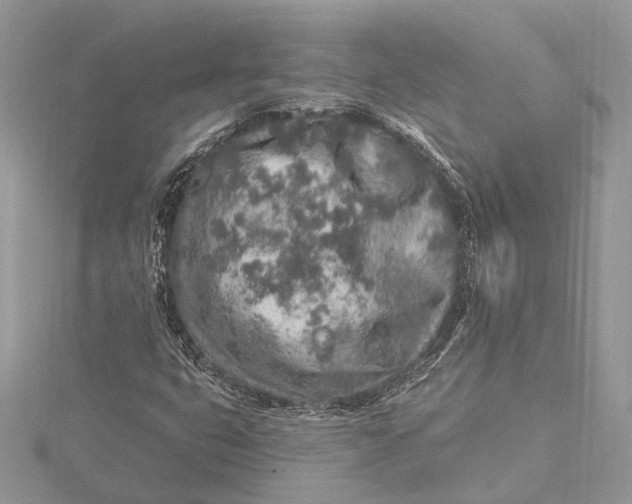 X0000115631399200912011431