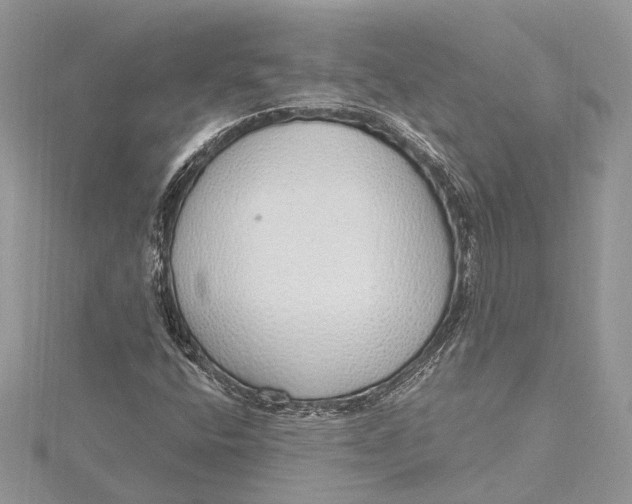 X0000115631400200912011431