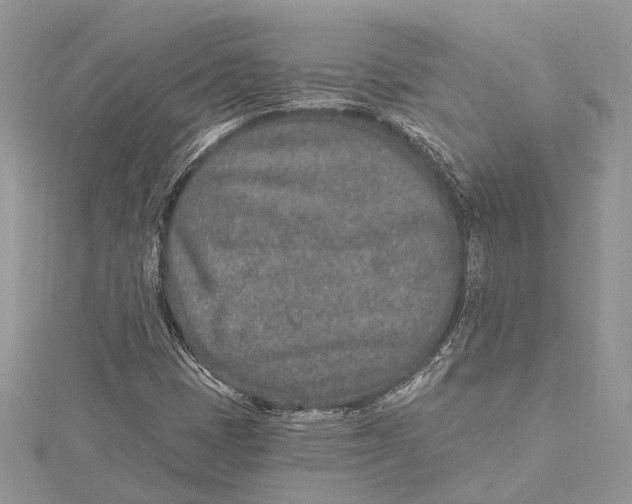 X0000115631401200912011431