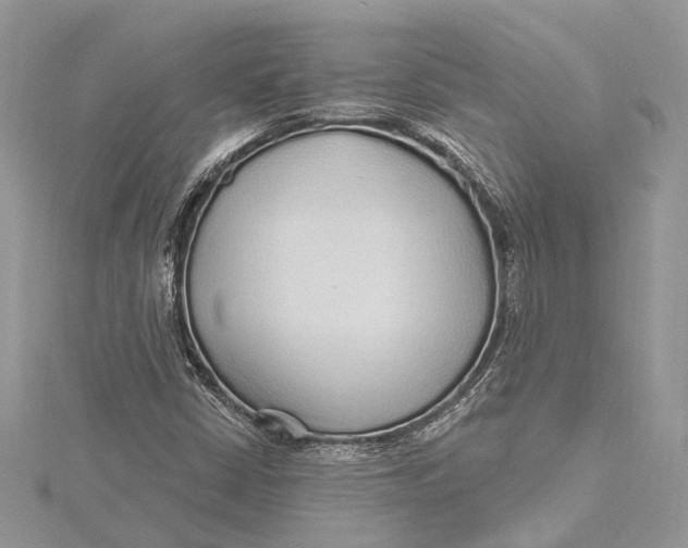 X0000115631402200912011431