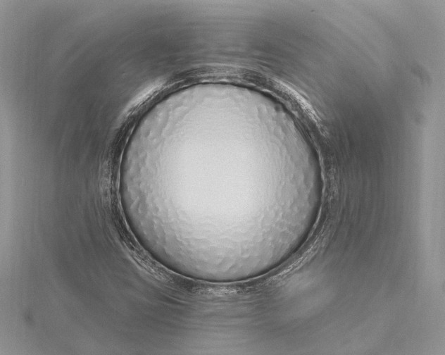 X0000115631403200912011431