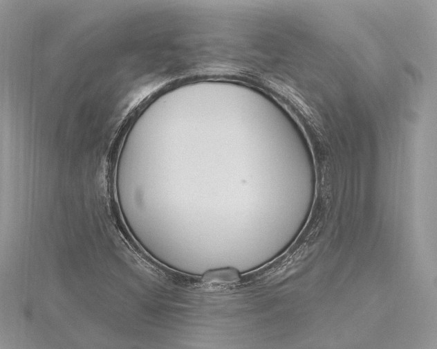 X0000115631404200912011431