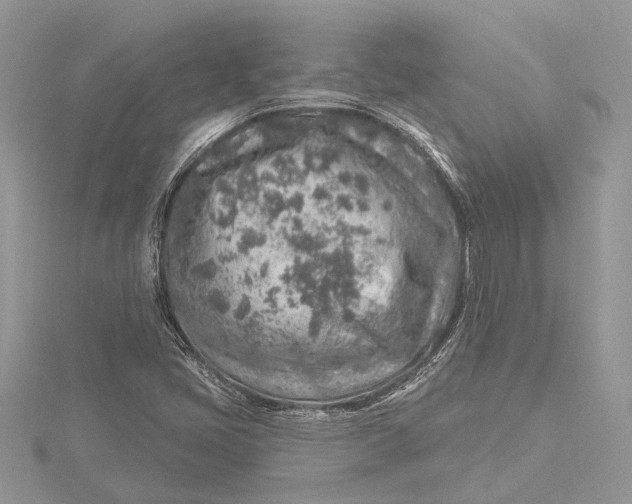 X0000115631405200912011431