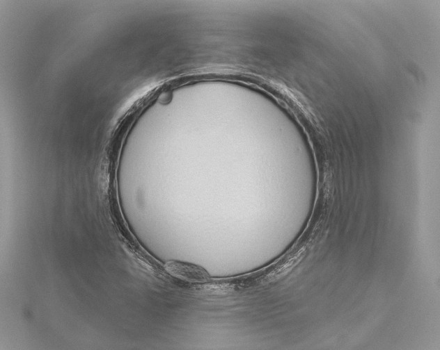 X0000115631406200912011431