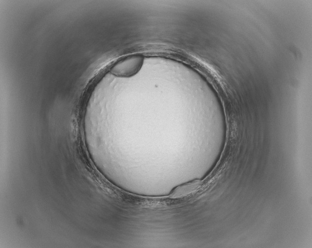 X0000115631407200912011431