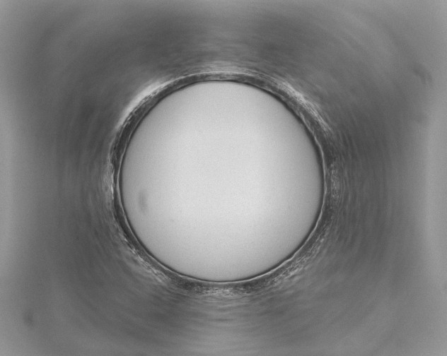 X0000115631408200912011431