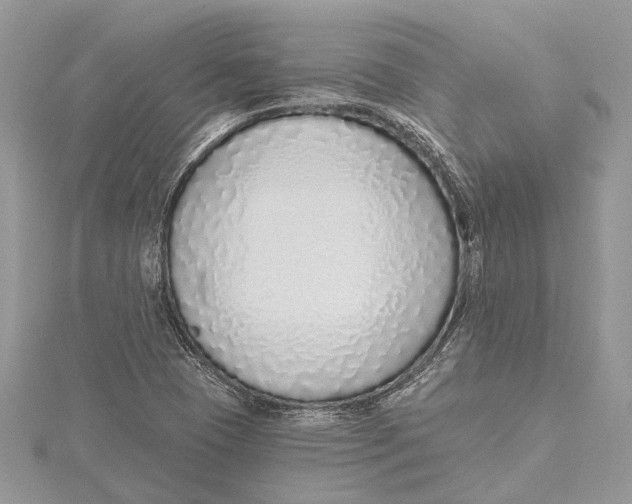 X0000115631409200912011431