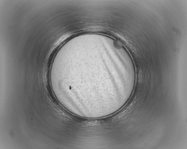 X0000115631410200912011431