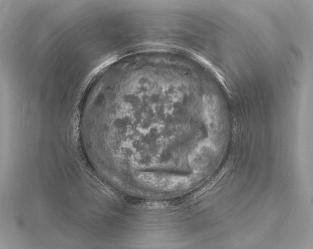 X0000115631411200912011431