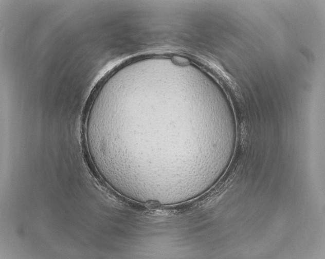 X0000115631412200912011431