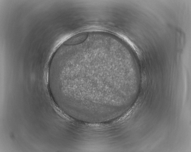 X0000115631413200912011431