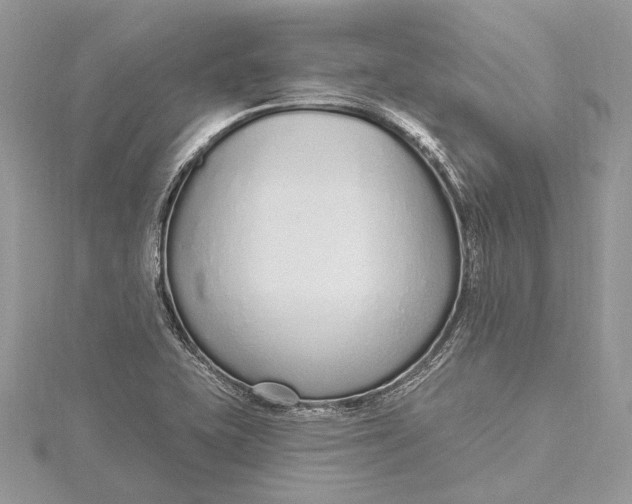 X0000115631415200912011431